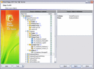 EMS Data Pump 2006 for SQL Server screenshot